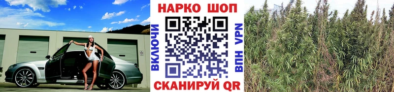 Хочу наркоту Сланцы МАРИХУАНА  А ПВП  Мефедрон 