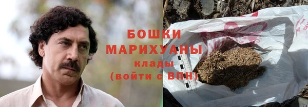 шишки Беломорск