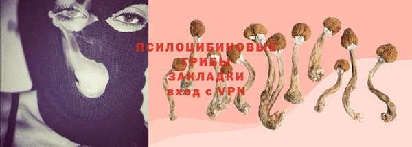 шишки Беломорск