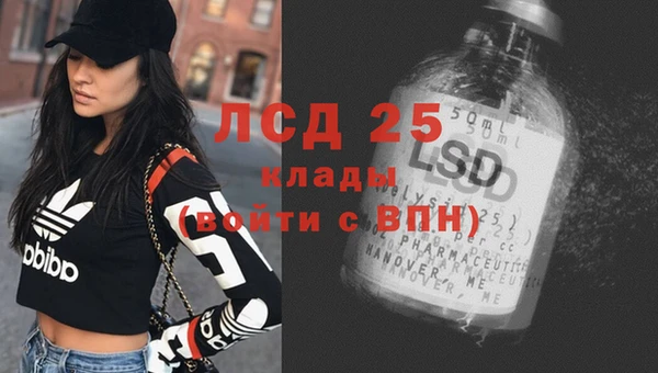 шишки Беломорск