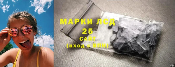 шишки Беломорск