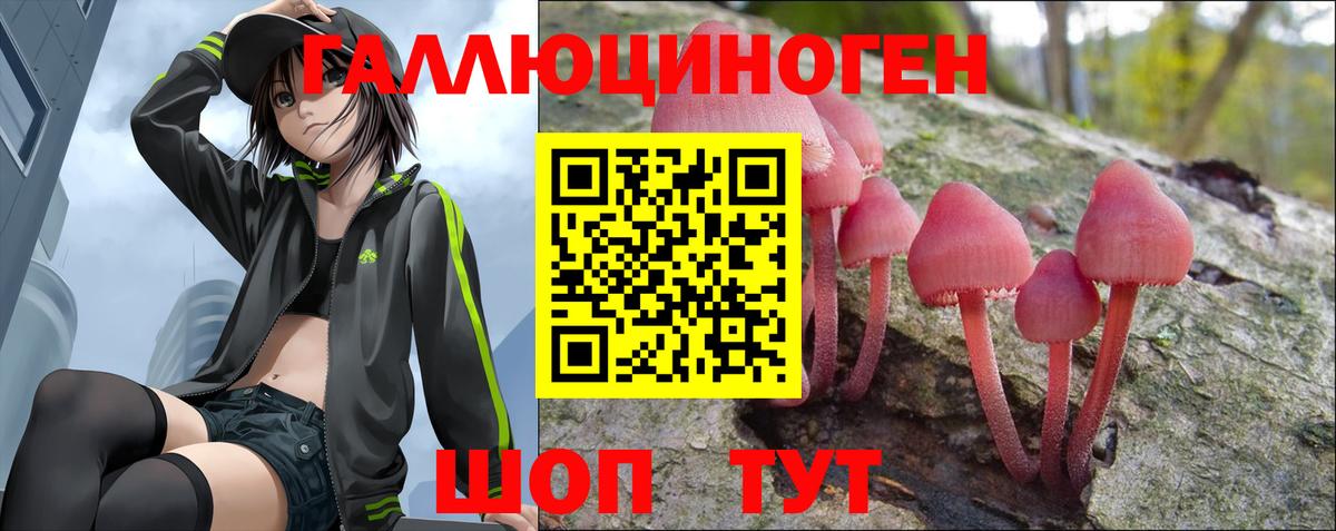Сланцы  Псилоцибиновые грибы Psilocybine cubensis  даркнет сайт  Вход с VPN 