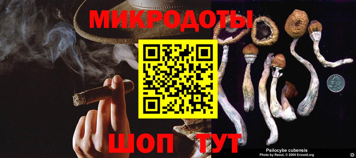 Галлюциногенные грибы GOLDEN TEACHER Сланцы
